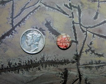 Monarch opal cabochon, synthetic opal, cultured opal, sterling opal cabochon, cabochon supplier, handcut cabochons, made in the USA