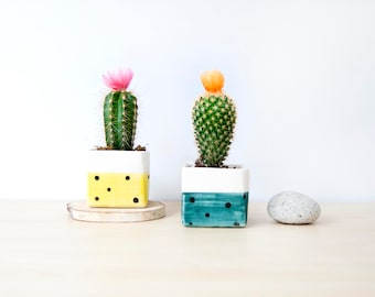 Small ceramic square planter, Ceramic plant pot, Succulent planter, Ceramics pottery, Cacti plant pot, Planter flower pot, Square plant pot