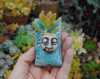 ceramic wall planter miniature succulent wall pocket garden art