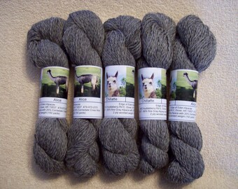 Alpaca Yarn – Chillatte and Alice (2 ply worsted weight)