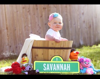 2ft Sesame Street Sign, Customized Sign, Sesame Street Party