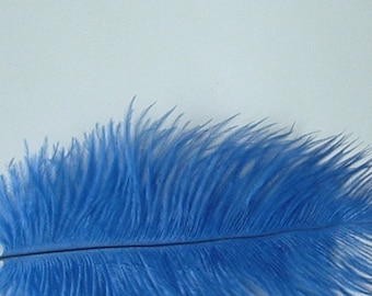 Royal Blue Ostrich Feathers