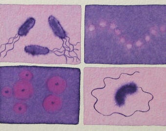 Pink and Purple Microbes - original watercolor painting of bacteria