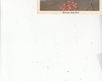 1960s Artist Ken Haag Postcard Michigan State Bird Robin Unused