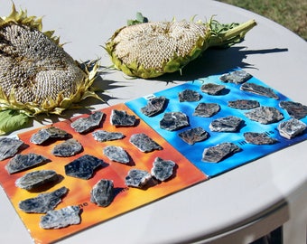 Mica Muscovite Specimens 1000g 2" (50 mm)