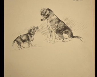 Beagle Print Dog Print Beagle Puppy Drawing Illustration Plate