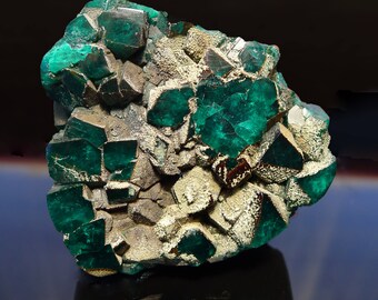 DIOPTASE from Tsumeb, Namibia - A+++ HIGH GRADE Specimen