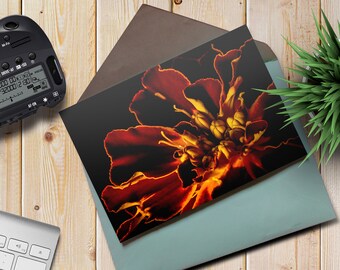 L'huere d'été: Marigold Greeting Cards