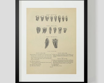 Teeth Print Page 96
