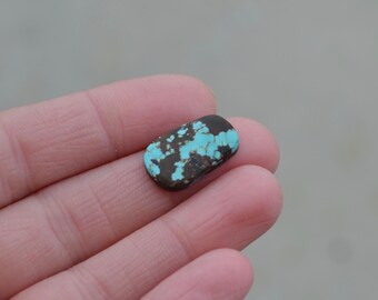 Number 8 Turquoise Cabochon