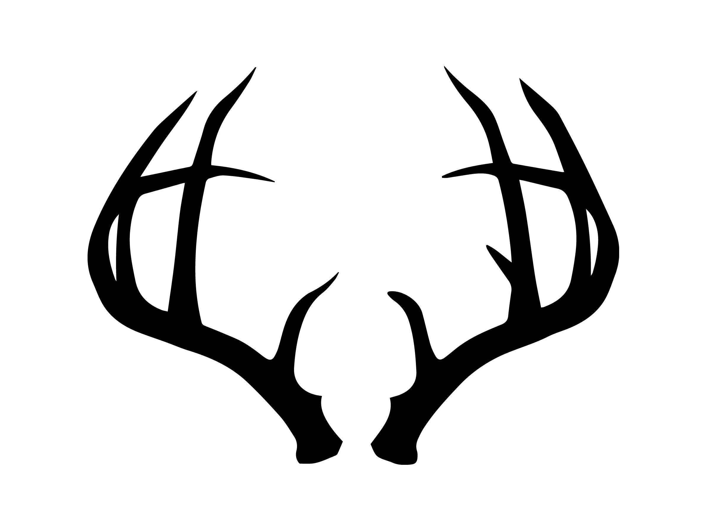 Deer Horn Antler Trophy Wildlife Nature Stag Horny Forest   Il Fullxfull.1303083734 9kea 