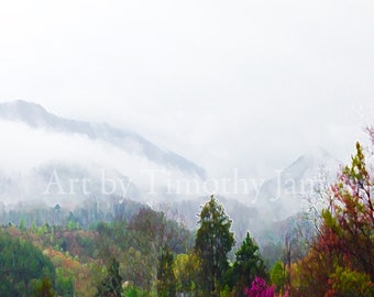 Spring Mist of The Smoky Mountains