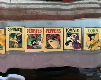 Loony toons garden magnets