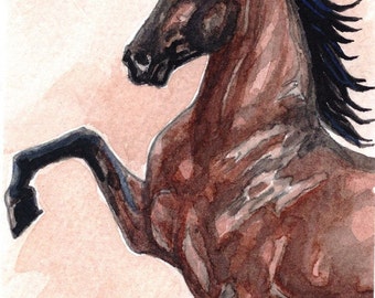 Bay Hackney Harness Pony Ltd Ed Print ACEO Mini Art by Gail Ragsdale