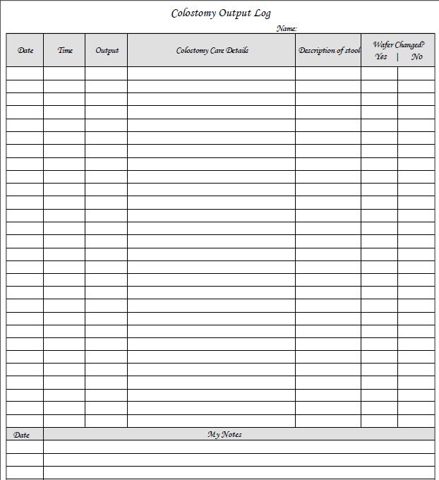 Fillable Colostomy Log / PDF/ Digital Health forms/ Printable