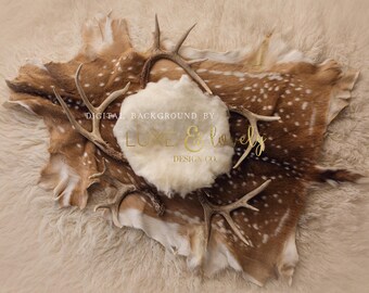 Newborn Photography Digital Background Prop, Deer Skin & Antlers