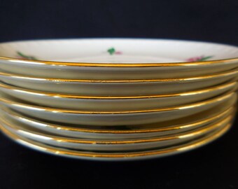 Homer Laughlin/ Rose Pattern/Georgian Eggshell China/Set of Six Saucers