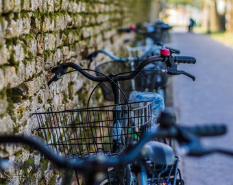 I want to ride my bike...
