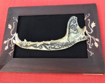 Carved coyote jawbone in a custom frame