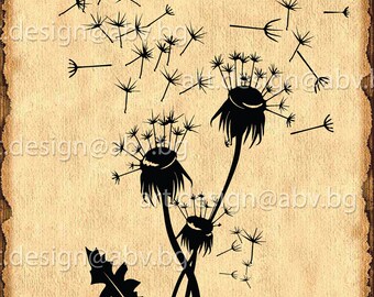 Vector Flowers /Taraxacum/, dandelion, AI, eps, PNG, pdf, svg, dxf, jpg Download, Digital image, graphical, discount coupons