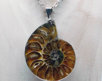 Ammonite fosil pendant, ammonite necklace