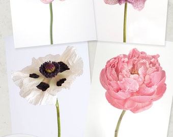 Flower Photo Notecard - Flower Collection of Ranunculus, Hellebore, Poppy, Peony, Note Card, Floral Notecard, Stationery, Blank Notecard