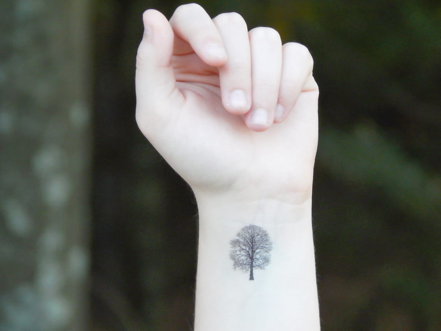 Temporary Tattoo Tree Tattoo Oak Tree