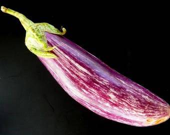 330 x Eggplant Purple white long seeds , Organic Non-GMO Fresh Seeds From Europe