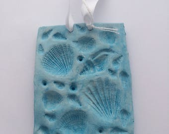 Seashell decor | Etsy