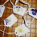 Tags Lot 101 Real Violets from my Garden - 5 Gift Tags or Tie to Napkins for Name cards, Great for a Tea party