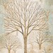 Panel Sounds Of The Woods by Robert Kaufman Cotton Quilting Fabric