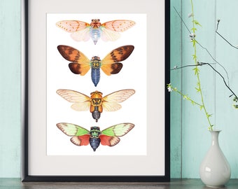 Cicada watercolor painting print, insect wall art, cicadas watercolour