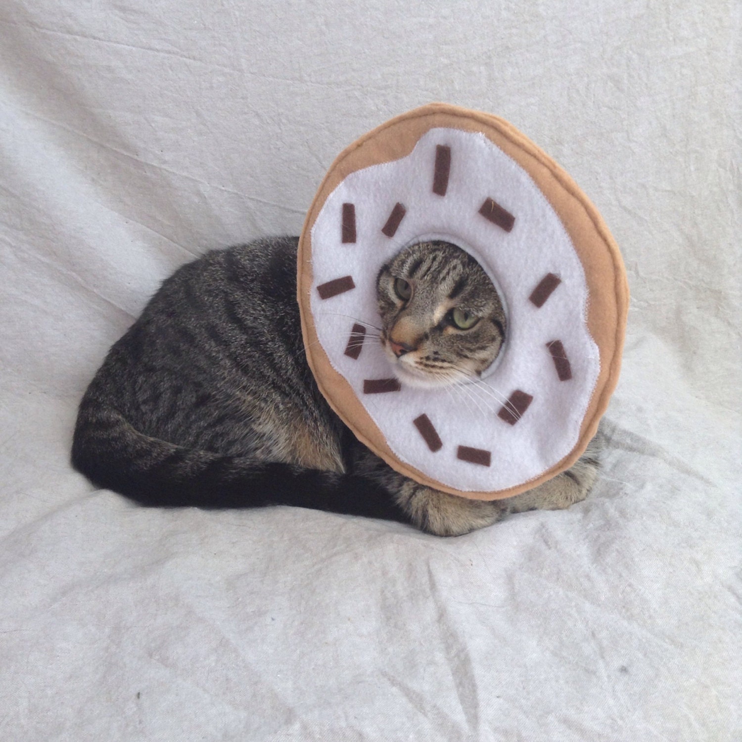 Cat Donut Costume Donut Cat Costume