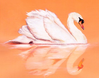 Swan - Animo Reflecto serie