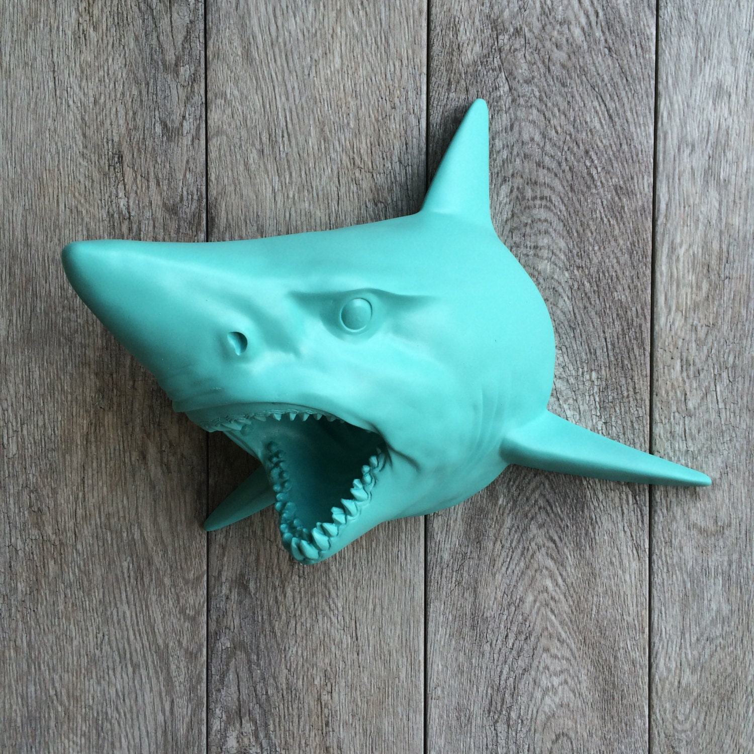 stuffed shark head wall decor