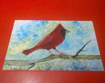 Male Cardinal Blank Card