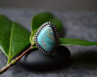 Sale: Was 149~ Carico Lake Turquoise Freeform Ring Size 6