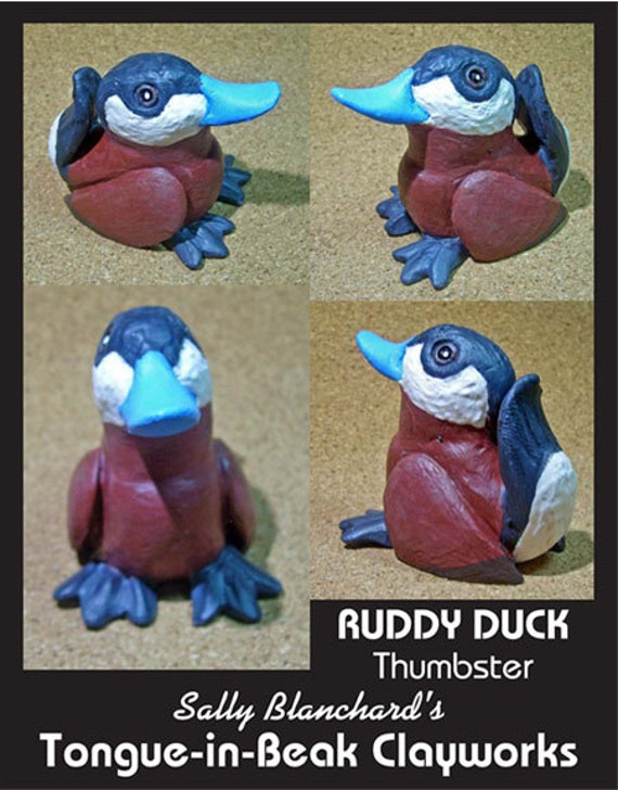 Ruddy Duck - Attracting the Ladies - Sally Blanchard's Tongue-in-Beak Clayworks thumbsters
