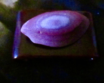 Suiseki Mystic Eye Mini Viewing Stone from Gobi Desert Mongolia