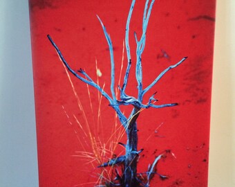 Desert Heart, Original Photograph Canvas Wall Art Print