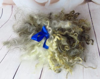 Leicester multicolor washed Locks Curls Leicester multicolor Locks Spinning Doll Hair Felting Wool Fiber Art Supplies Approx 15-17 cm 30 gr