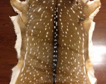 Deer hide | Etsy