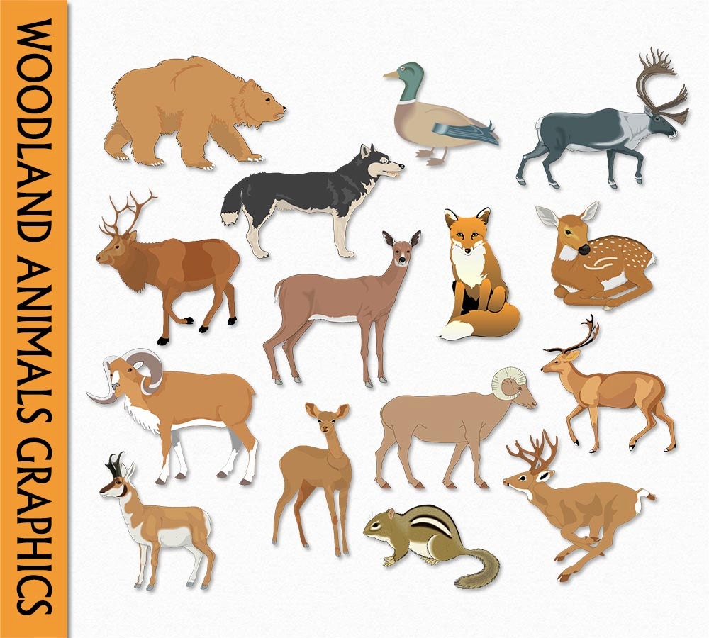 Gli animali nei boschi della foresta Clip arte grafica Clipart Digital Scrapbook cervo orso Moose lupo Fox Download trasparente PNG JPG uso merciale