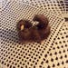 Vintage 1950s Brooch Pin Genuine Mink Fur Poodle Wearing A Gold Tone Collar MCM Funky Jewelry