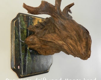 Driftwood Moose head, Driftwood, driftwood art, driftwood wall art, drift wood, driftwood decor, driftwood decoration, driftwood designs