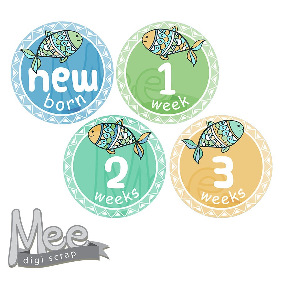 baby boy month stickersdiy printable baby boy milestone