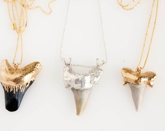 Shark's Tooth Fossil Talisman Pendant