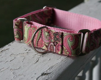 The Chyna 1.5" Martingale Collar