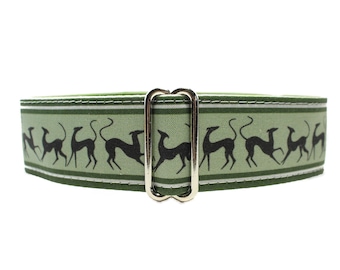 Green Martingale Collar, Martingale Collar Greyhound, Galgo Collar, Saluki Collar, Green Martingale Collar for Boys, Levrier