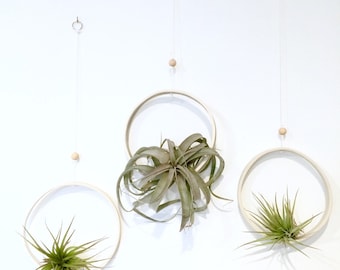 Extra Large Airplant Ring Cradle Sling Hanging Planter Display for Air Plant MADE TO ORDER